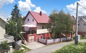 Apartment Usovic